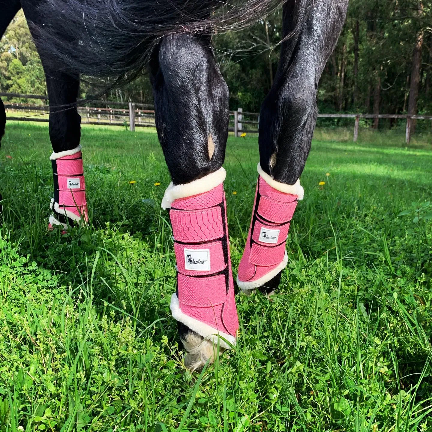 Blossom Horse Tendon Boots - Silverleaf Limited Edition