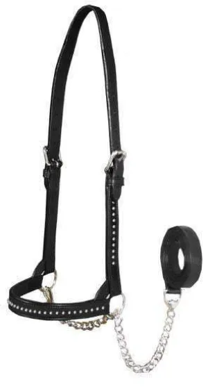 Derby New and Improved Premium Show Spotted Flat Leather Cattle Show Halter with Matching Chain Lead - One Year Limited Manufacturer’s Warranty