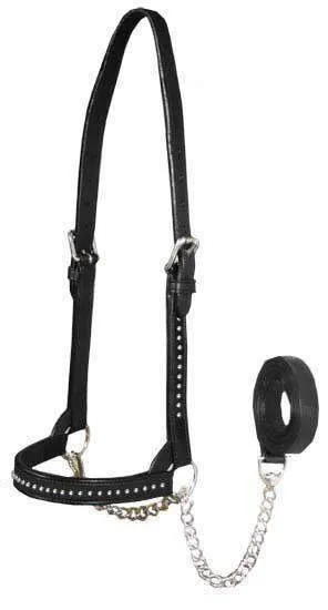 Derby New and Improved Premium Show Spotted Flat Leather Cattle Show Halter with Matching Chain Lead - One Year Limited Manufacturer’s Warranty